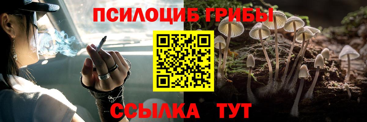 Псилоцибиновые грибы прущие грибы  Вход с VPN  Можга 