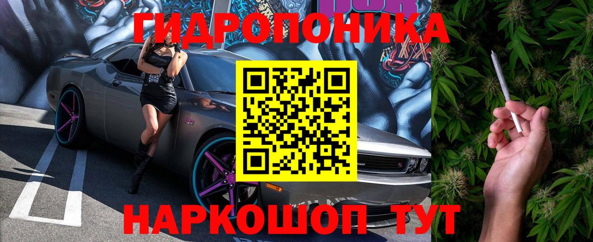 Бошки Шишки марихуана Можга